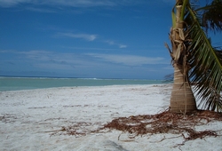 PukaPuka